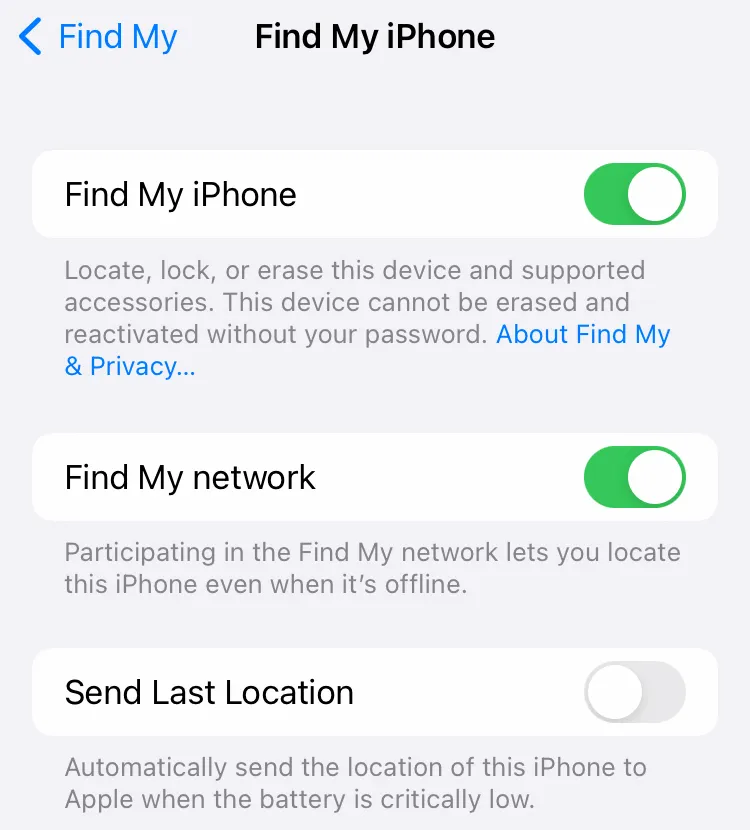 To enable Find My iPhone on your iPhone, follow the steps below: