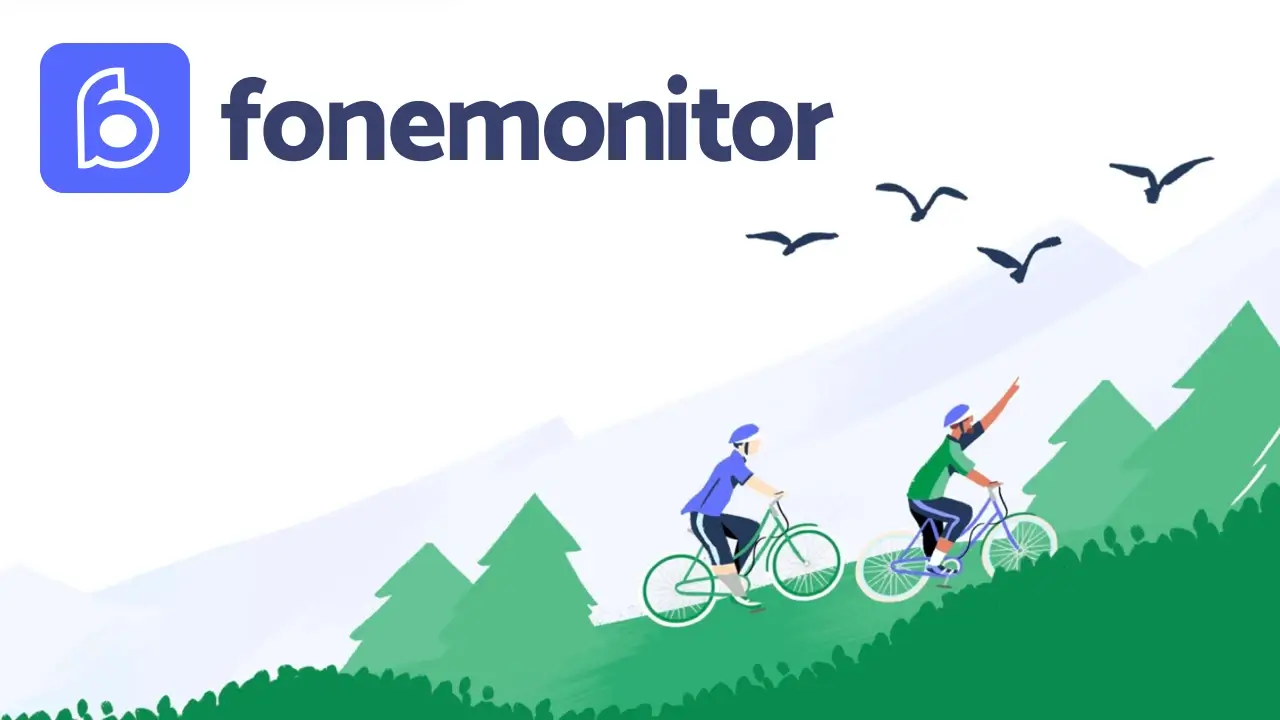 What is a Fonmonitor?