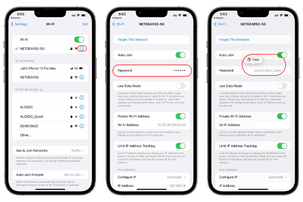 How to view Wi-Fi Passwords on iPhone 16