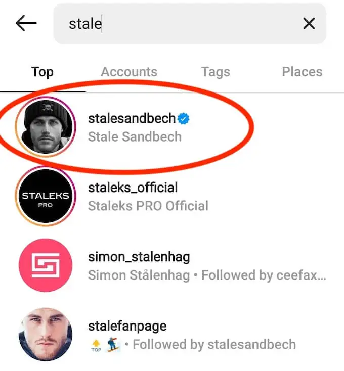 What Accounts’ include Instagram blue tick?
