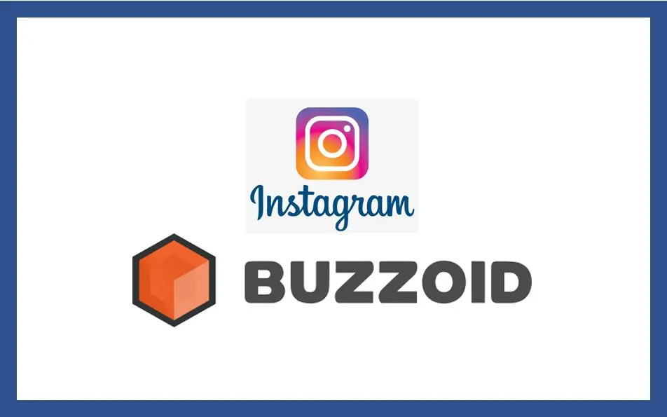 Buzzoid Instagram followers