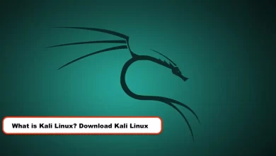 What is Kali Linux? Download Kali Linux Review