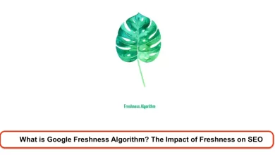 What is Google Freshness Algorithm? The Impact of Freshness on SEO