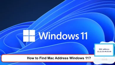 How to Find Mac Address Windows 11?