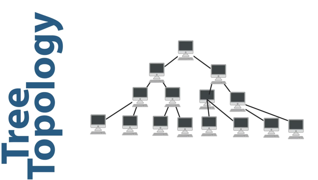 What is Tree Topology?